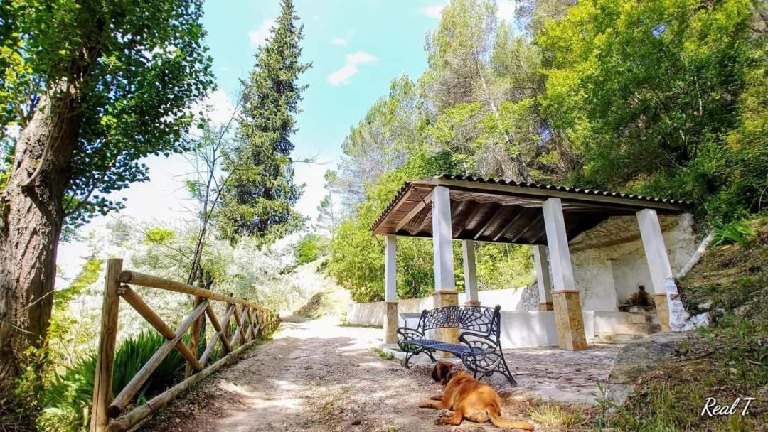 Alojamiento Rural El Penon De Орнос Экстерьер фото
